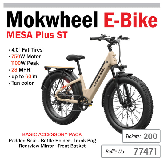 Mokwheel Electric Bike #77471