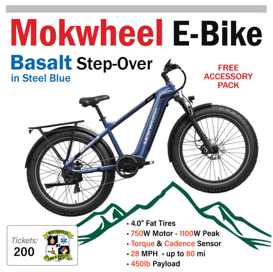 Mokwheel Basalt EBike #96839